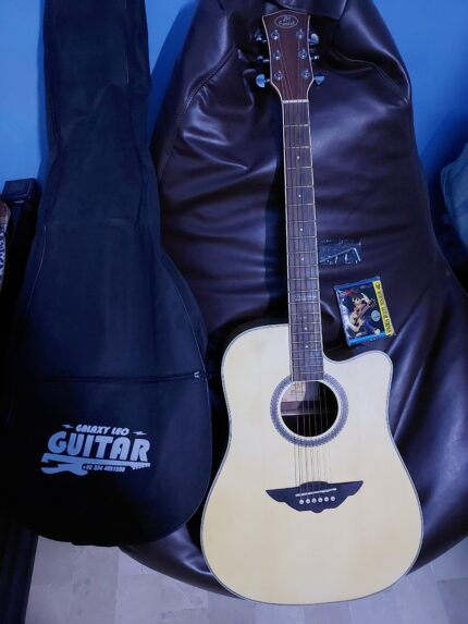 Acoustic Guitar Professional JM Forest Berlin Mahogany Wood Jumbo Size 22 Frats